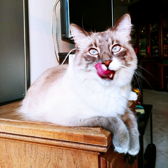 Meet your Posher, Fonda - Picture 1 of 1